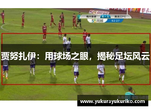 贾努扎伊：用球场之眼，揭秘足坛风云