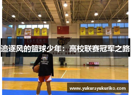 追逐风的篮球少年：高校联赛冠军之路